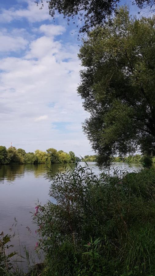 Penthouse Naehe Frankfurt Am Main Lejlighed Hanau Eksteriør billede